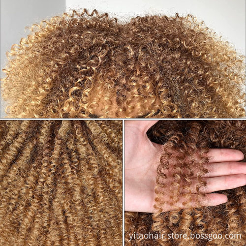 Wholesale Black Brown Red Curly Wigs for Black Women Afro Curly Colorful Wigs with Bangs 14 Inch Afro Kinky Loose Curly Wave